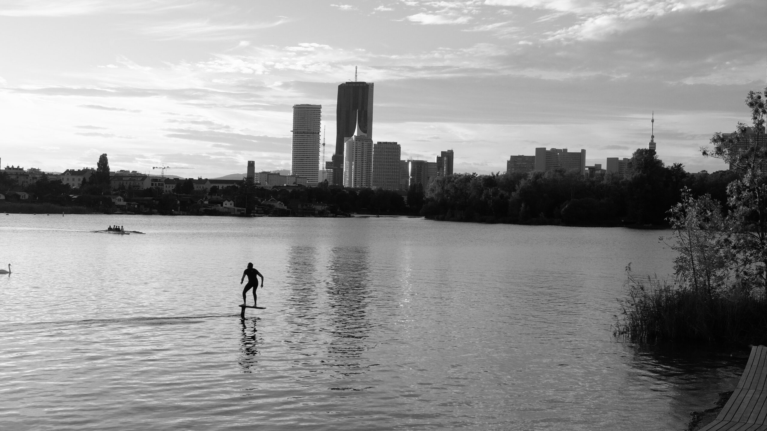 Donau Surfer